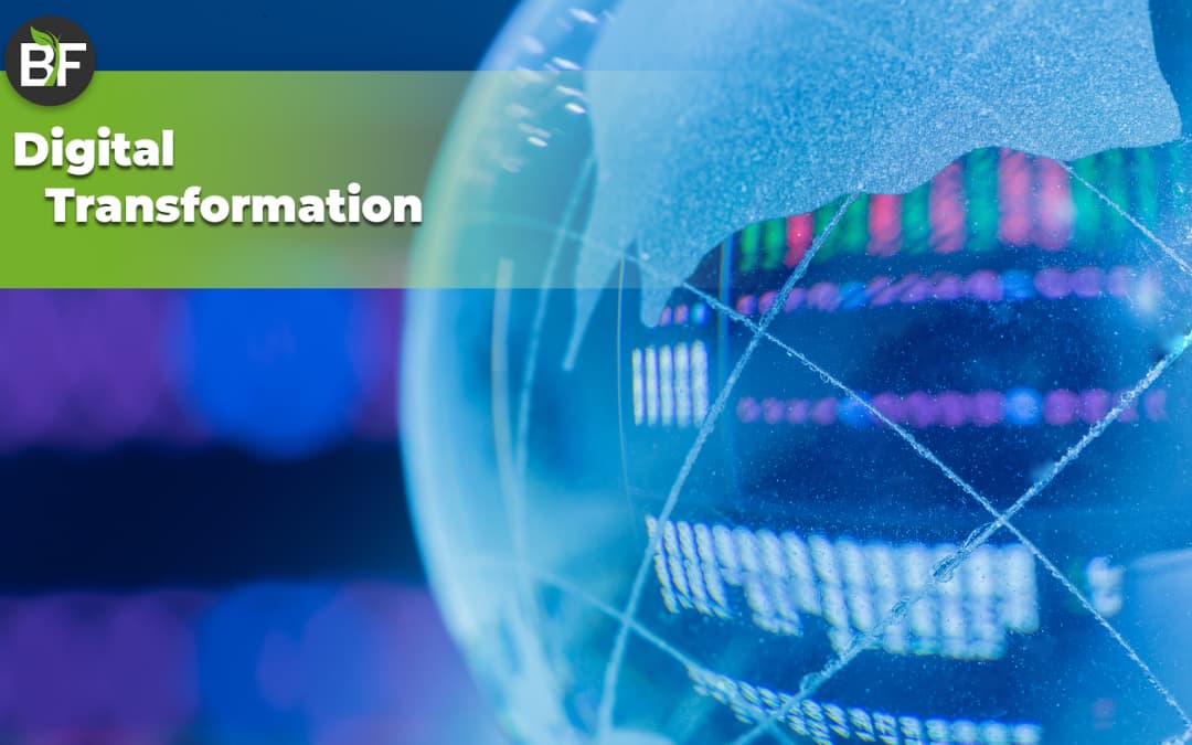 Digital Transformation: come affrontare il cambiamento
